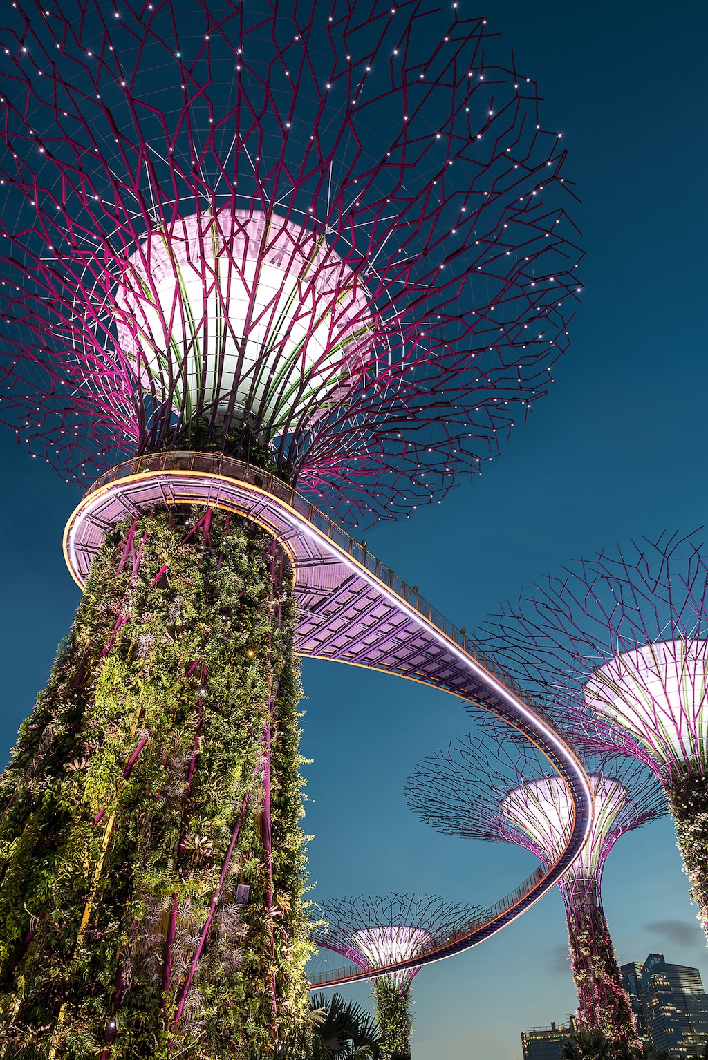Visit Singapore